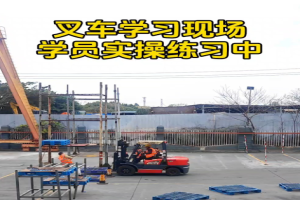 在郫都叉车证多少钱？工厂仓储零基础学叉车避坑指南